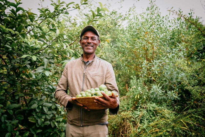 A man hold some fruit in a basket