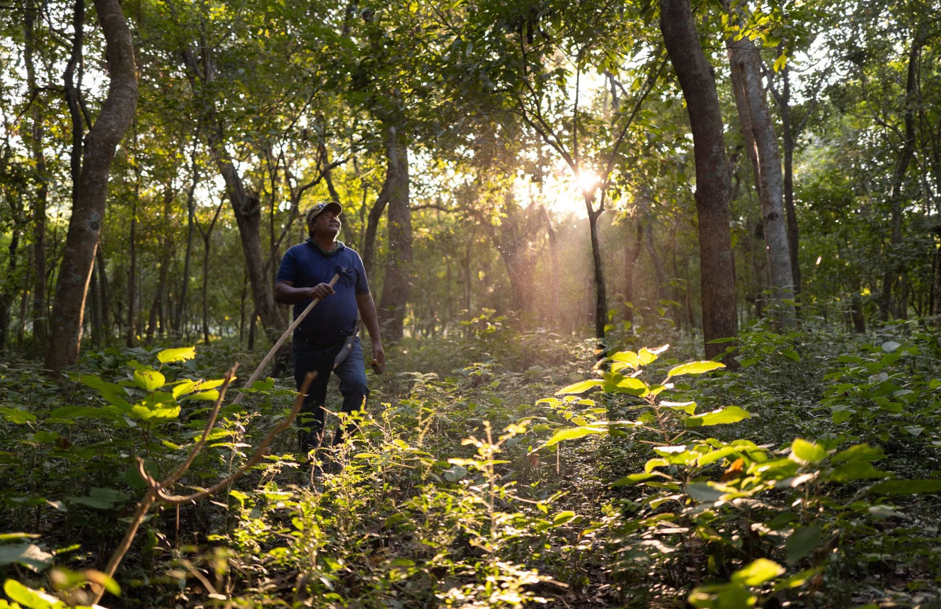  A man standing in a forest 