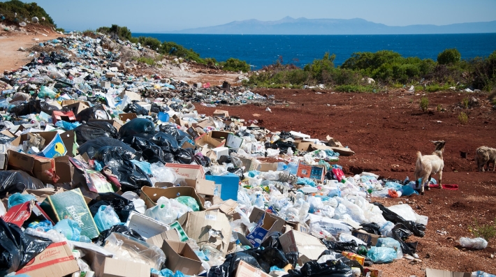 Trash near bushes on a beach. Photo: Unsplash/Antoine Giret