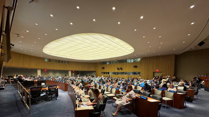 The High-level Political Forum on Sustainable Development 2024 (HLPF)